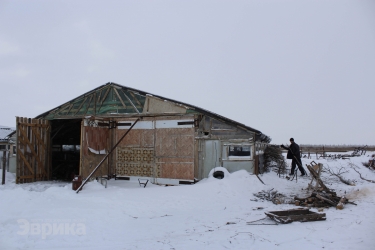 Пан Великой степи