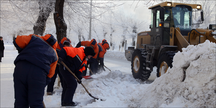 Снегоборцы