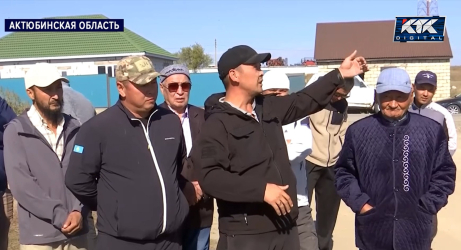 Миллионные штрафы платят жители Родниковки из-за своих телят