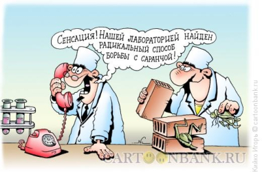 Шалкарский район кишит саранчой