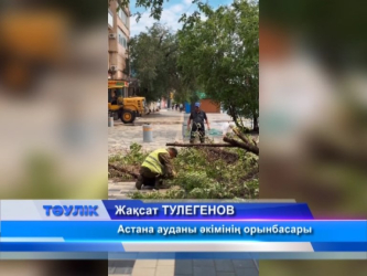 Дауылдан ағаштар сынып, бірнеше аудан жарықсыз қалды