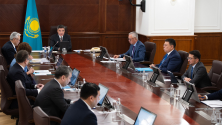 Премьер-министр: Казахстанские товары намеренно дискредитируют