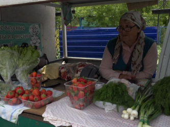 Жергілікті құлпынай жидегінің маусымы басталды