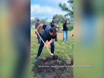 Более семи тысяч деревьев посадили актюбинцы за один день