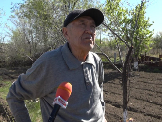 С приходом тепла в Актобе оживает дачная жизнь