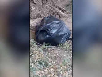 Шаһарда пакетке салынған шарана табылды
