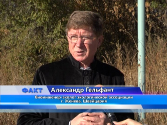 Опасное соседство: Актобе зарастает амброзией