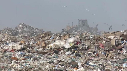 Компанию, управлявшую мусорным полигоном, прогнали