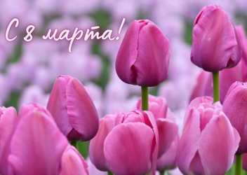 Дамы говорят!