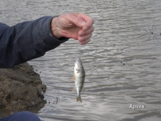 В Актюбинской области вступают в силу новые ограничения на рыболовство