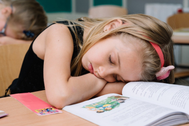 Несколько школьных предметов едва не объединили