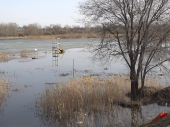 На водоёмах Актюбинской области началось весеннее таяние льда