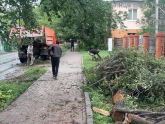 Дауылдан сынған ағаштар қалада қалай жиналып жатыр?