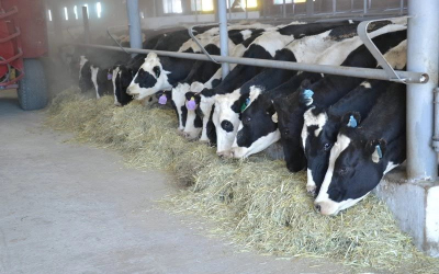 18 предприятий продолжают простаивать в Актюбинской области