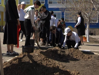 Білім мекемелері көгалдандырылып жатыр