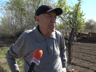 Саяжай тіршілігі қайта жанданды 