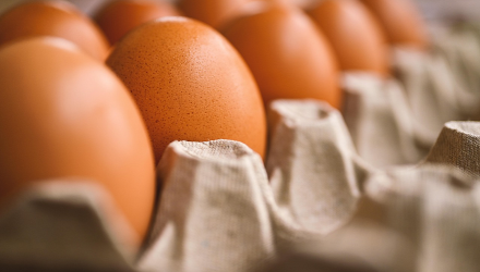 В Казахстан запрещён ввоз яиц