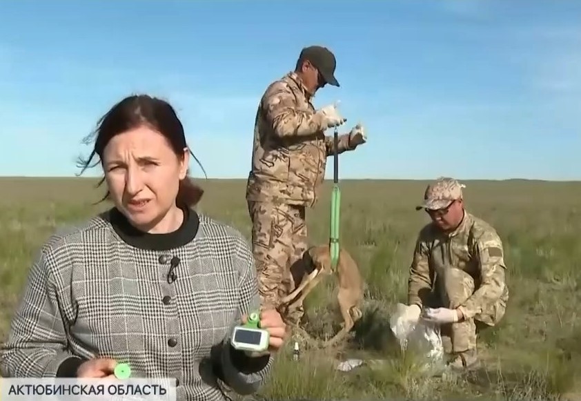 с3.jpg