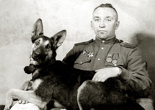джульбарс.jpeg джульбарс.jpeg