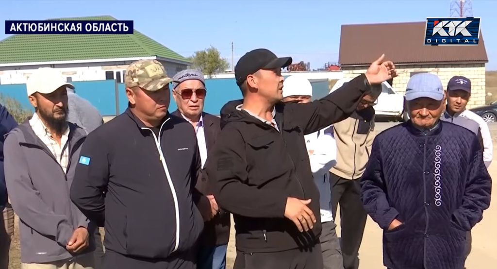 телята.jpg