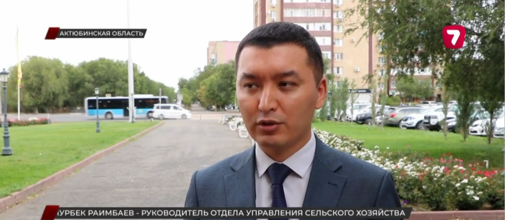 урожай2.png