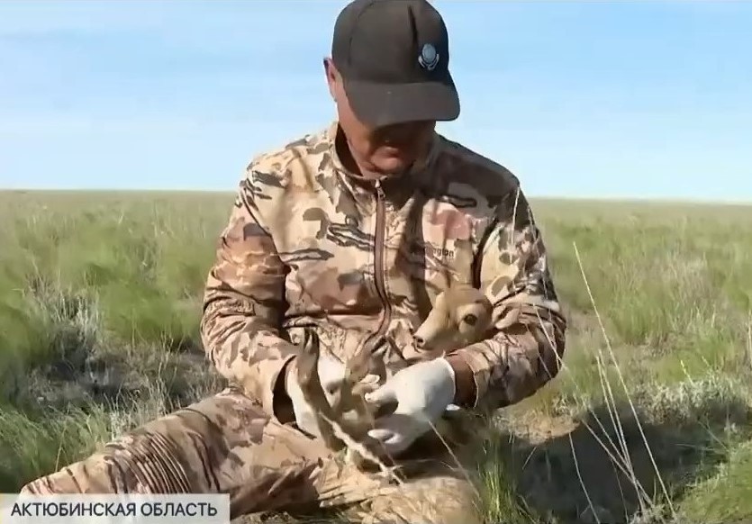 с1.jpg
