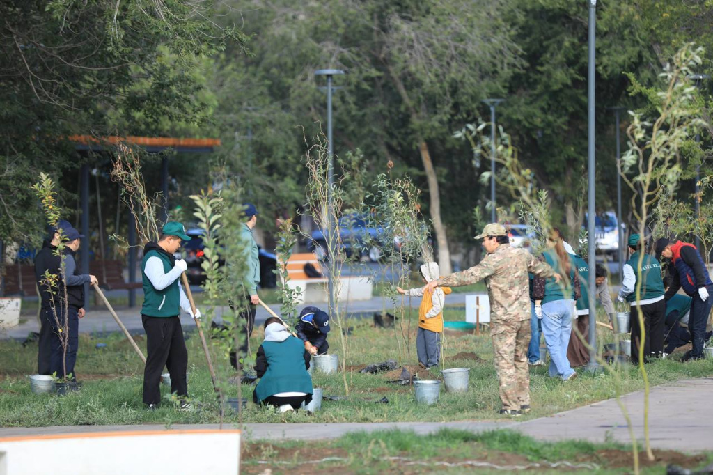 таза1.jpg