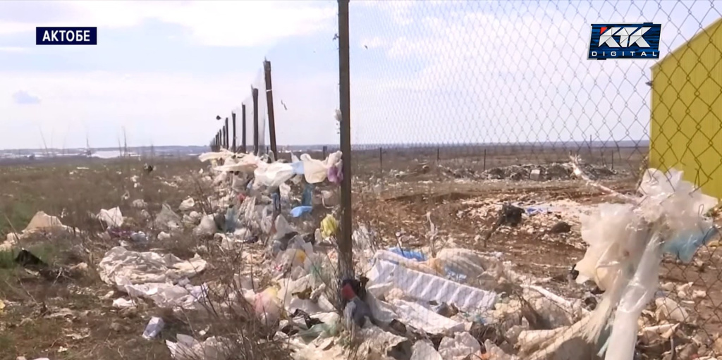 мусор.jpg мусор.jpg