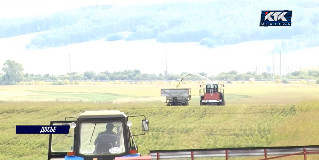 пшеница.jpg пшеница.jpg