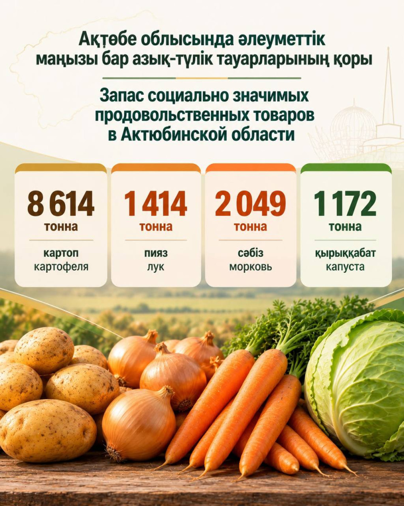 запас1.jpg