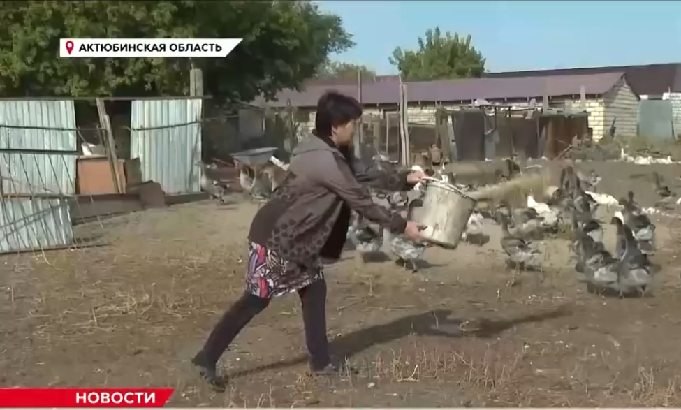 Снимок экрана 2026-09-23 131211.png