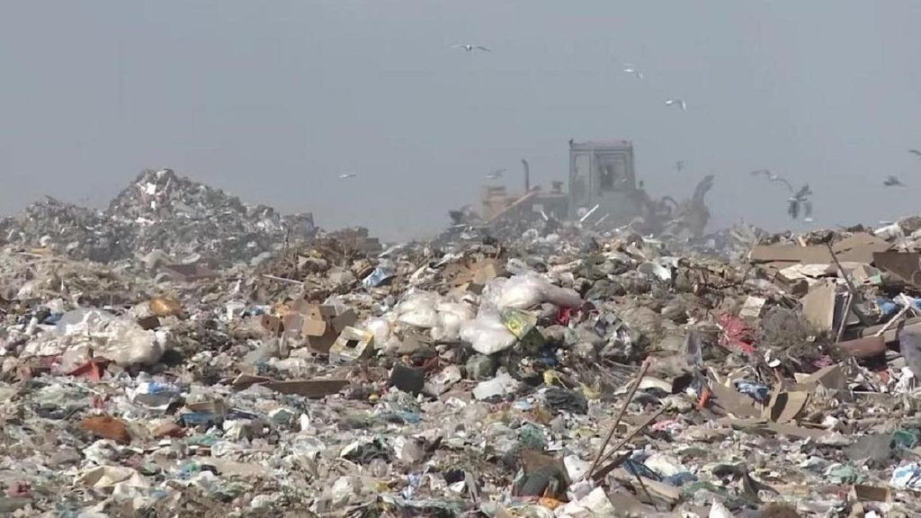 полигон.jpg полигон.jpg