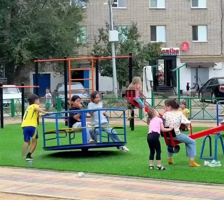 алга2.jpg алга2.jpg