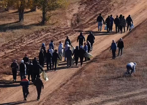 суб5.png