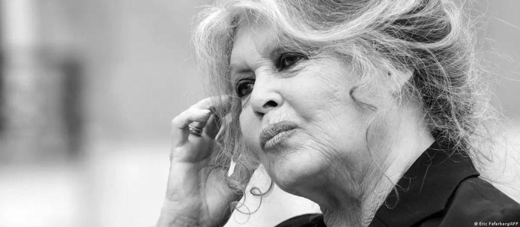 брижит бардо.jpg