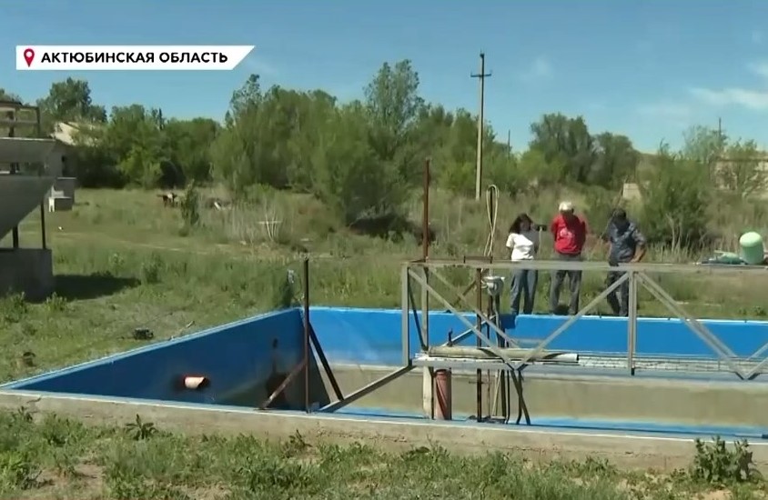 рыба3.jpg